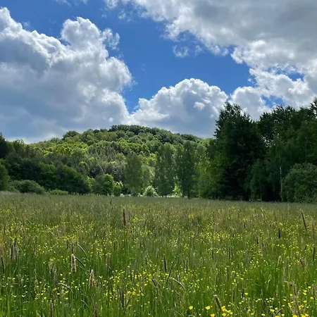 Domy Na Roztoczu Aleja Lipowa Dom F Zwierzyniec Exterior photo