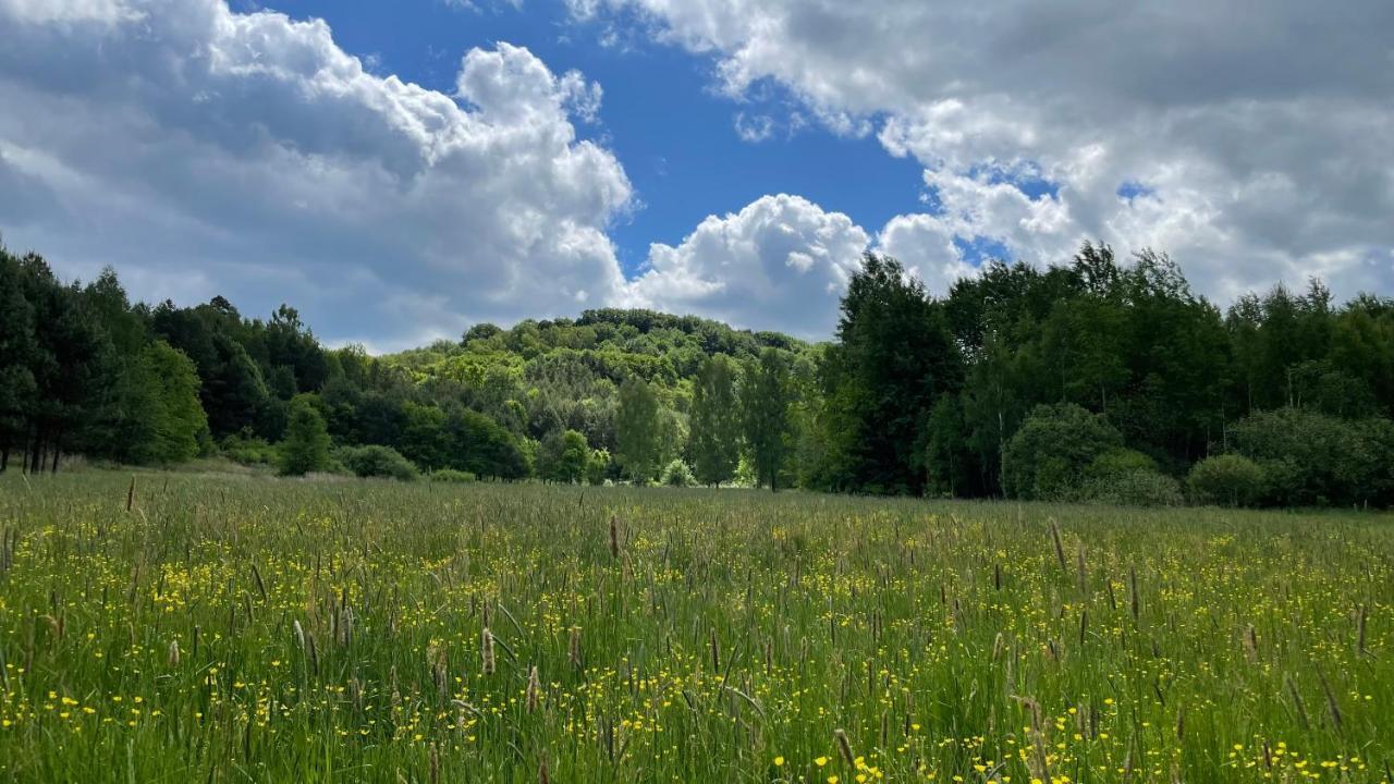 Holiday home Na Roztoczu Aleja Lipowa Dom F Zwierzyniec