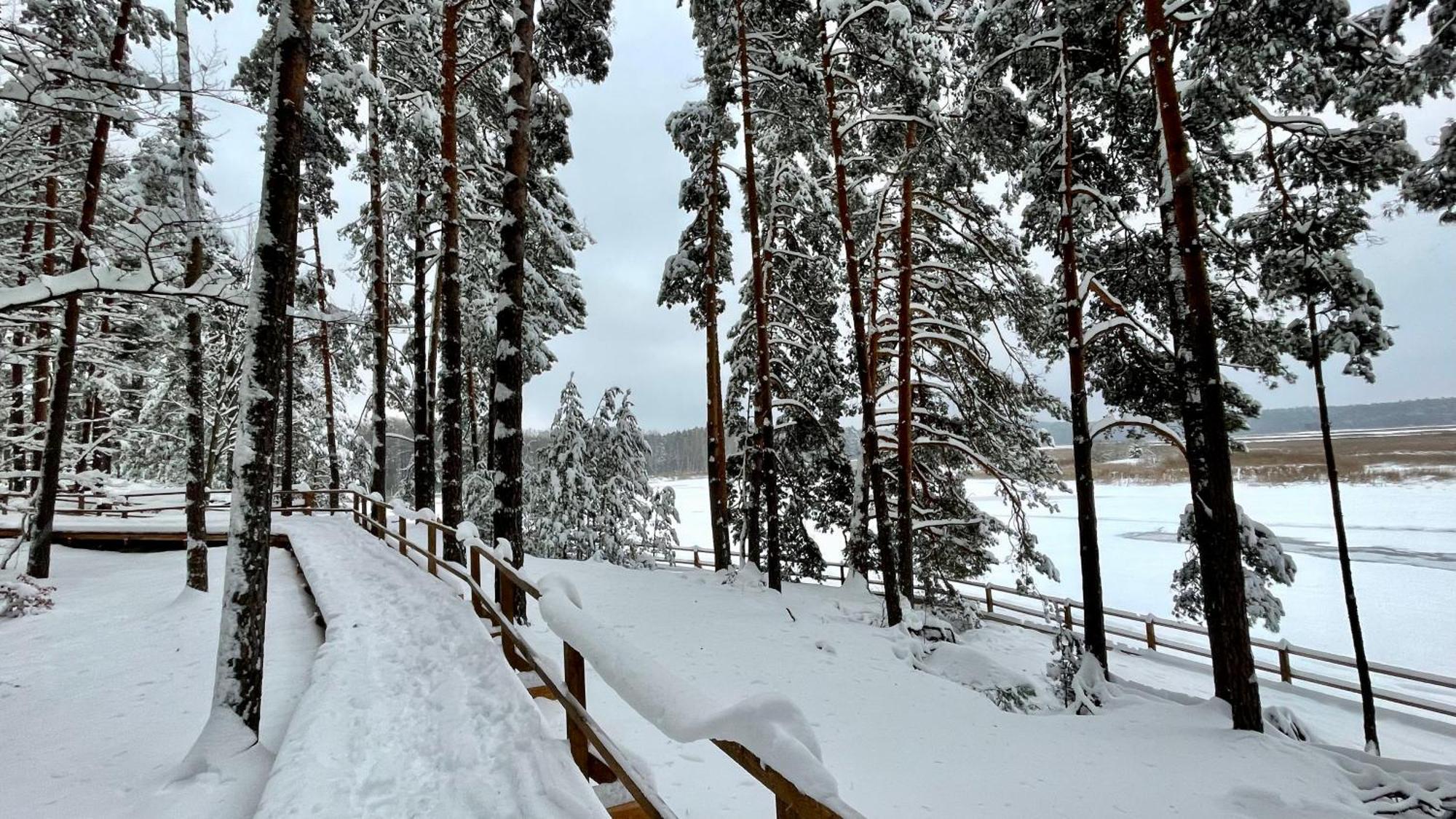 Holiday home Na Roztoczu Aleja Lipowa Dom F