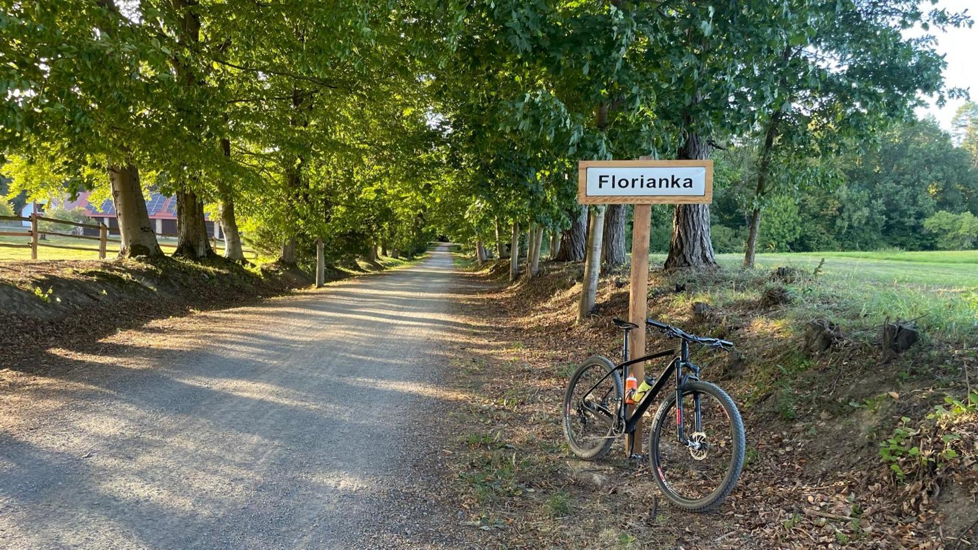 Na Roztoczu Aleja Lipowa Dom F