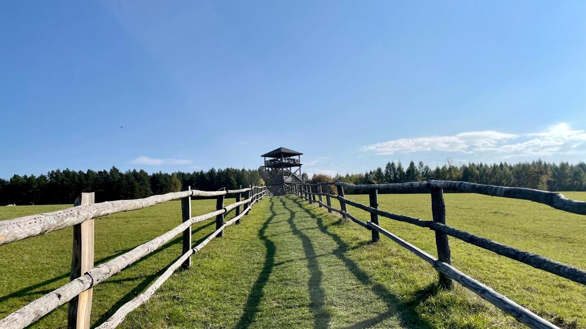 Na Roztoczu Aleja Lipowa Dom F Holiday home